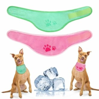 Forwardog Dog Cooling Bandana Review: Keep Your Pet Cool in Style