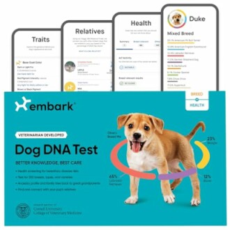 Embark Breed & Health Kit Review: Discover Your Dog's Breed, Health, Ancestry & More